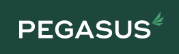 Pegasus Finance logo