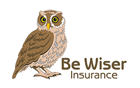 Be Wiser Logo