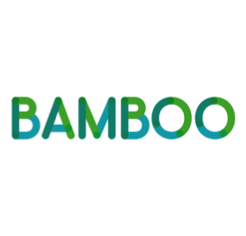 Bamboo Loans's logo