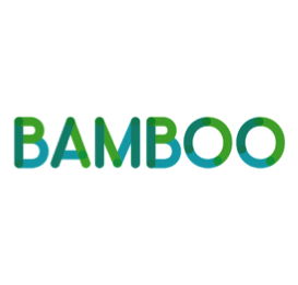 2021 - Bamboo Loans