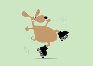 Pet Insurance 's avatar