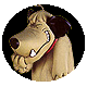 Neil's avatar