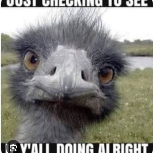 Charls mam's avatar