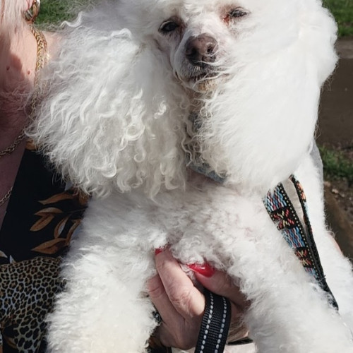 Helen Tipton's avatar