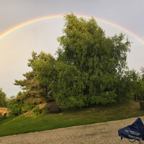 Diane Harris's avatar